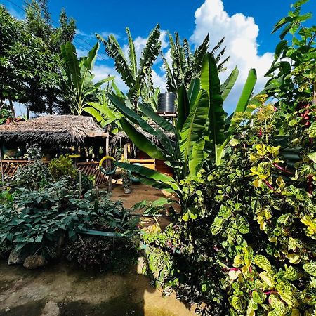 Karibu Eco-Hostel Arusha Exterior photo