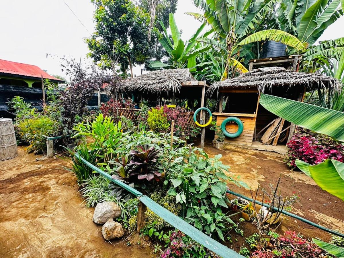 Karibu Eco-Hostel Arusha Exterior photo