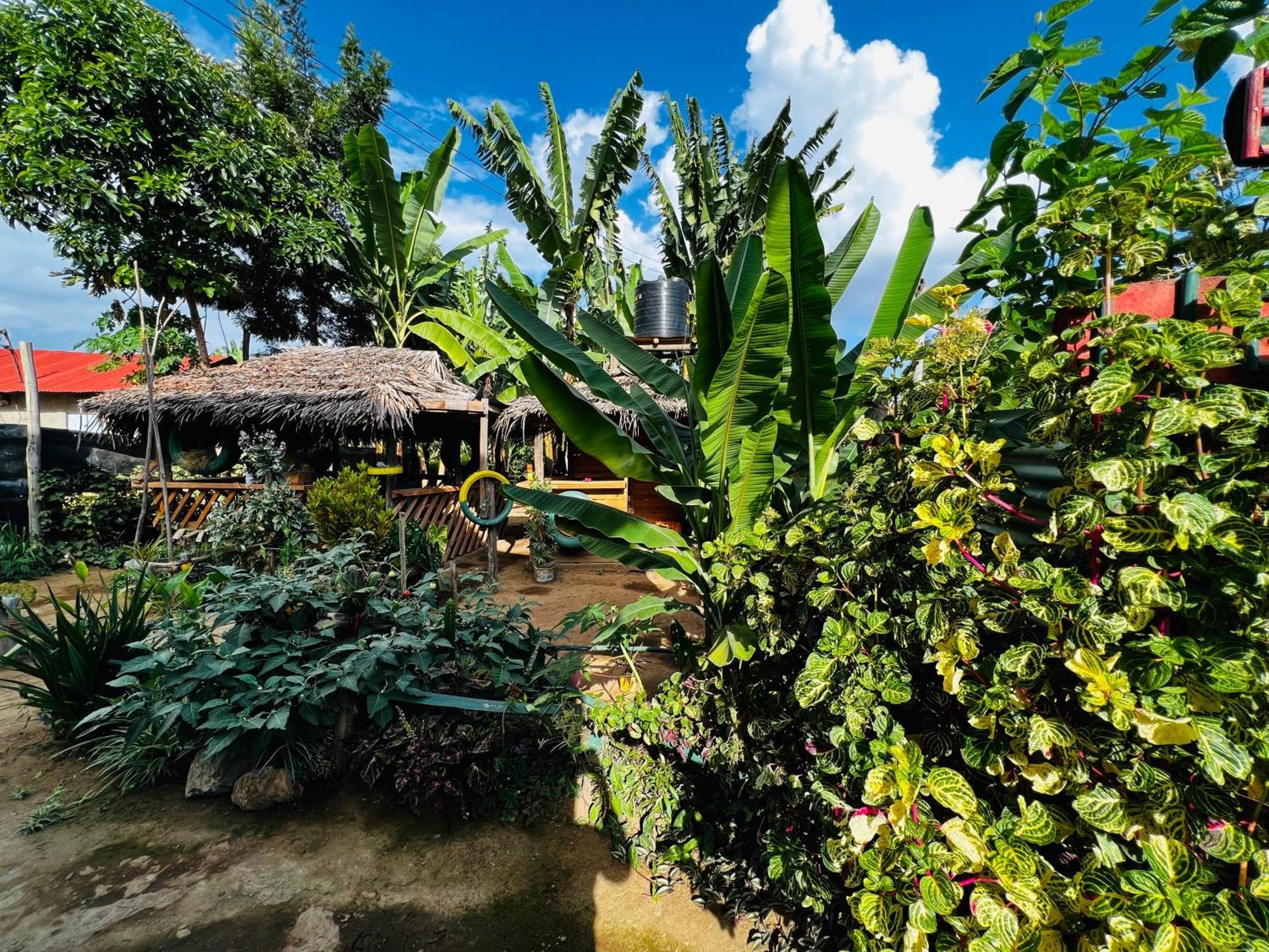 Karibu Eco-Hostel Arusha Exterior photo